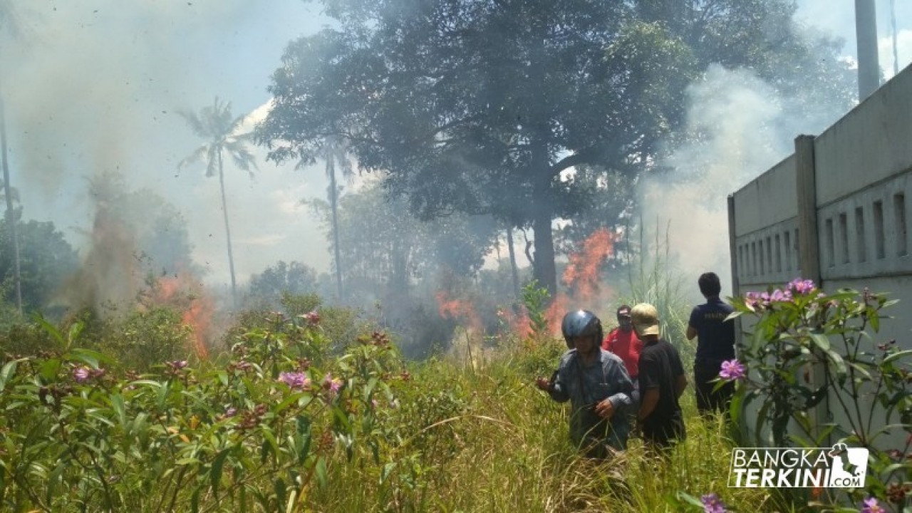 2 unit mobil damkar tidak berfungsi, dari 3 unit Mobil Damkar dikerahkan saat api melalap lahan seluas 1 Hektar di Jalan Ketapang, sebelum persimpangan Tempat Pelelangan Ikan (TPI), Rabu (24/10/2018).