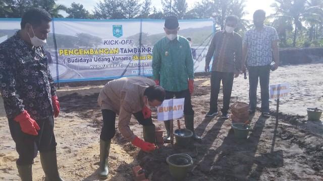 Bupati Bangka Tengah Algafry Rahman, Letakkan Batu Pertama Tambak Udang Skala Rakyat