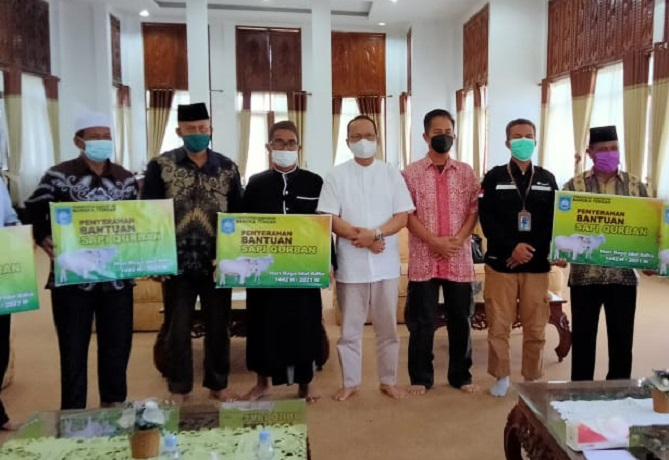 Pemkab Bangka Tengah Serahkan 58 ekor Sapi ke desa di Bangka Tengah, Senin  (19/07/2021)