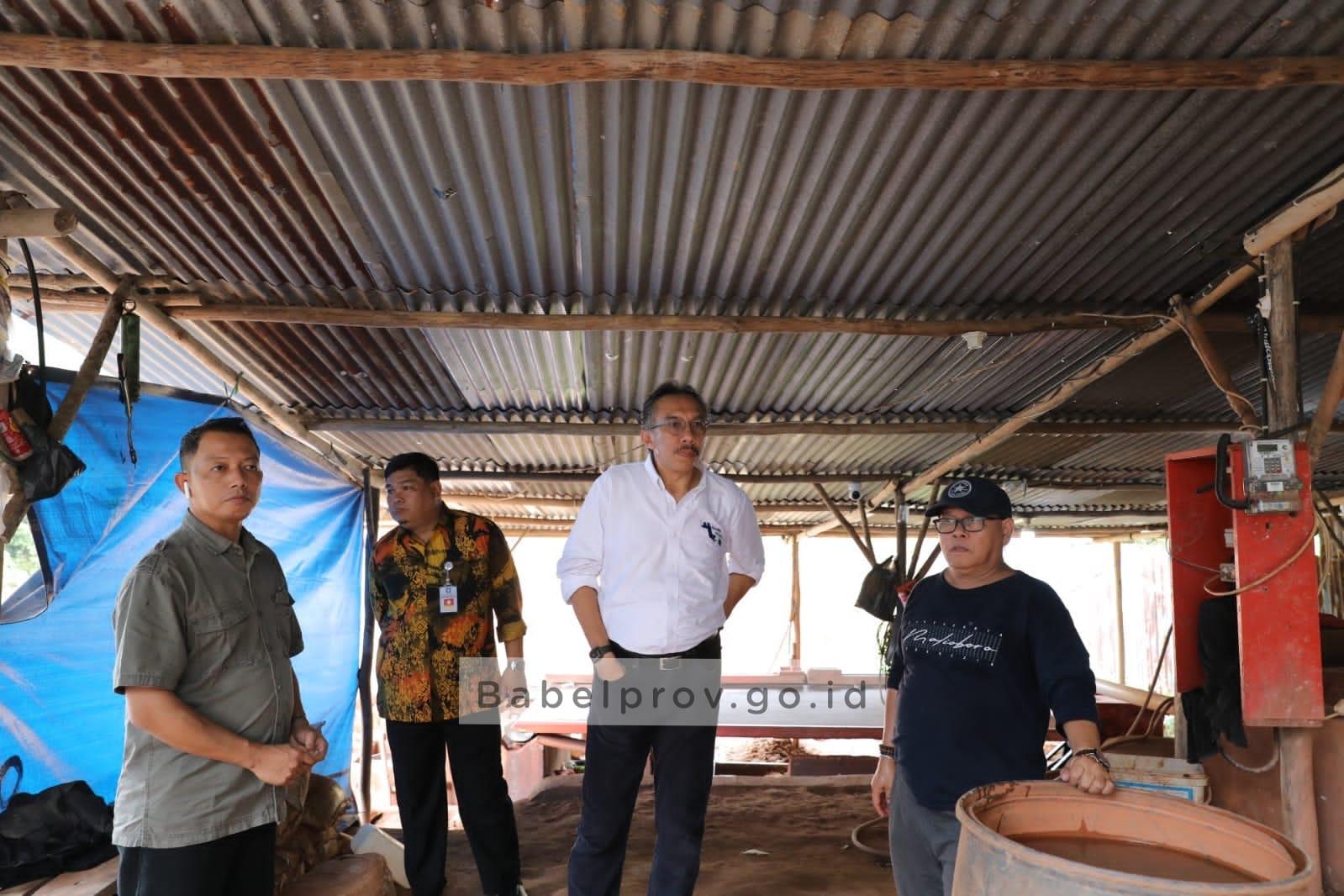 Pj Gubernur Usir Penambang Ilegal di Kawasan Geosite Open Pit Nam Salu