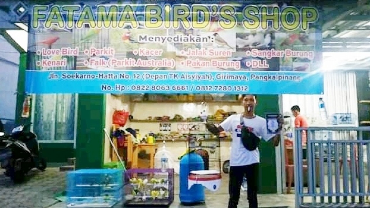 Fatama Birds Shop (FBS) Pangkalpinang