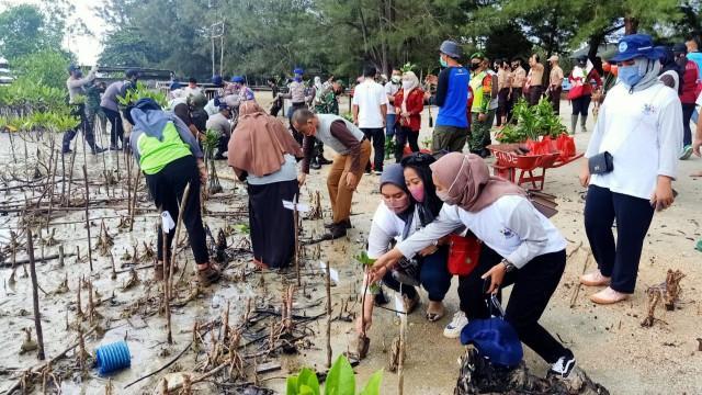 Tim KKN UBB Desa Batu Belubang Tanam Mangrove di Pantai Tapak Antu, Kabupaten Bangka Tengah, Selasa (21/07/2020).