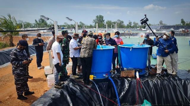 Gubernur Bangka Belitung, Erzaldi Rosman saat Tebar Perdana Benur Udang Vaname produksi UPT Balai Pemuliaan Ikan Babel, di Bangka Selatan, Jum'at (03/09/2021) kemarin.